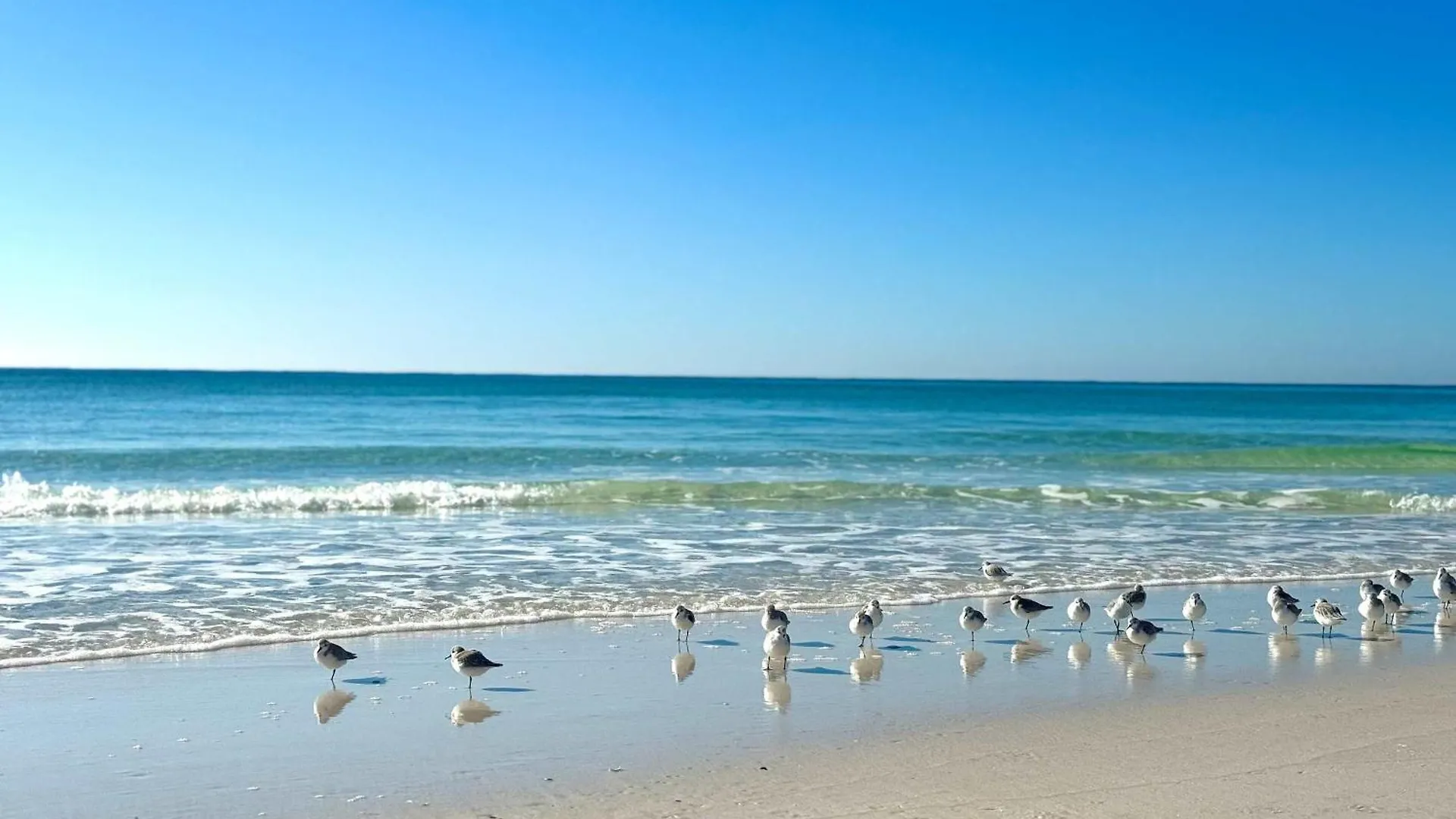 Cool Azul 3 Community Pools Central Destin United States
